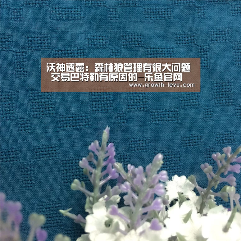 乐鱼app