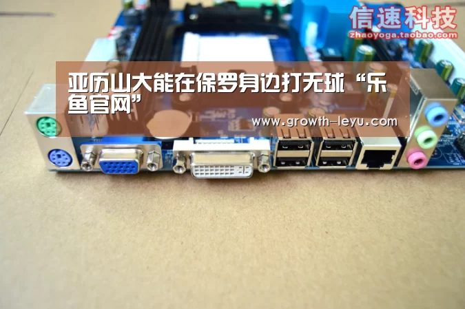 乐鱼官网