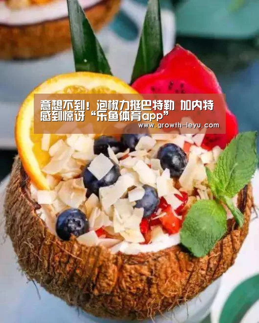 乐鱼官网