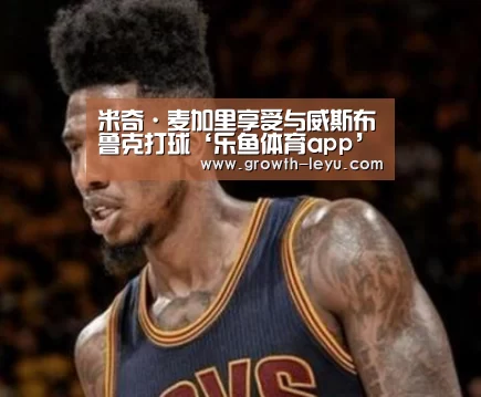 乐鱼体育app