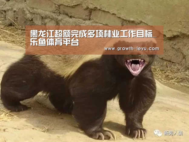 乐鱼体育app