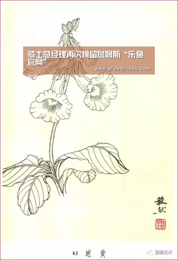 乐鱼app