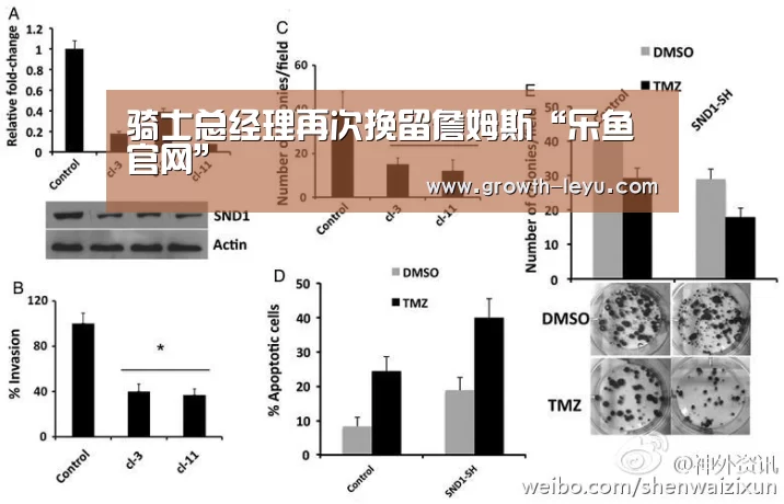 乐鱼官网