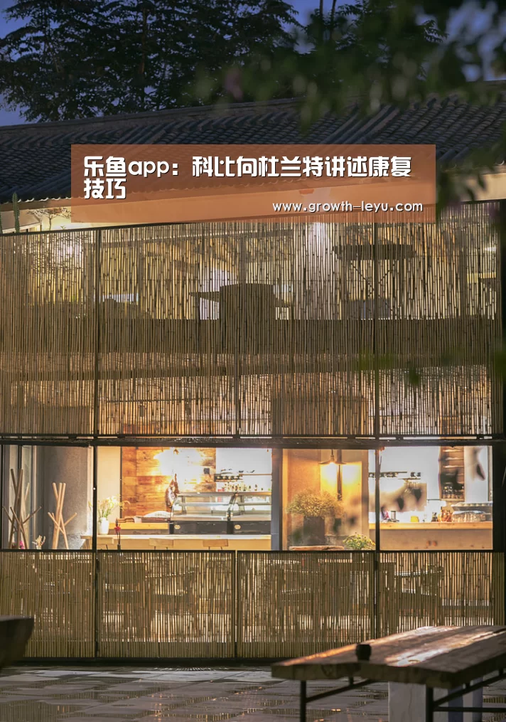 乐鱼体育app