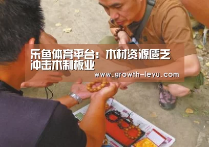 乐鱼体育平台